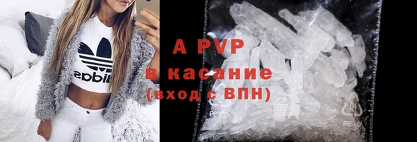 твердый Краснослободск