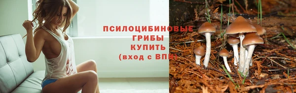твердый Краснослободск