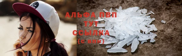 твердый Краснослободск