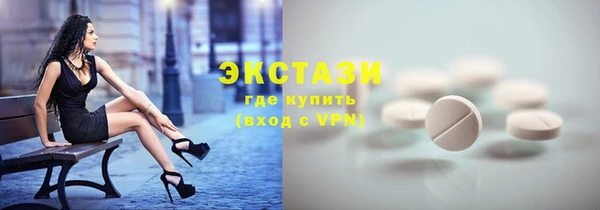 твердый Краснослободск
