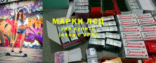 твердый Краснослободск