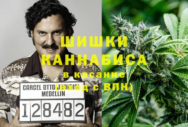 твердый Краснослободск