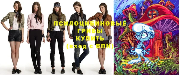 твердый Краснослободск