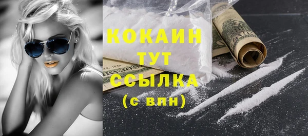 твердый Краснослободск