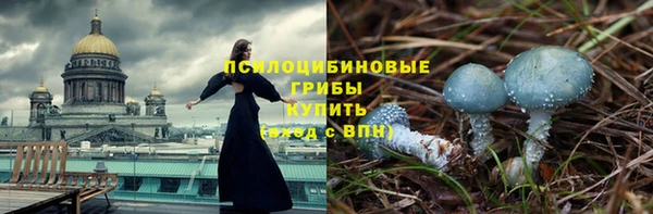твердый Краснослободск
