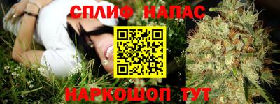 каннабис Славгород