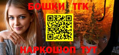 СК Сланцы