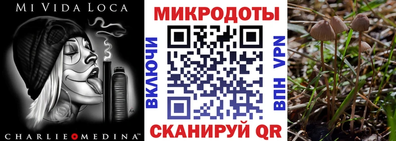 Галлюциногенные грибы Magic Shrooms  Купить где  Усть-Кут 